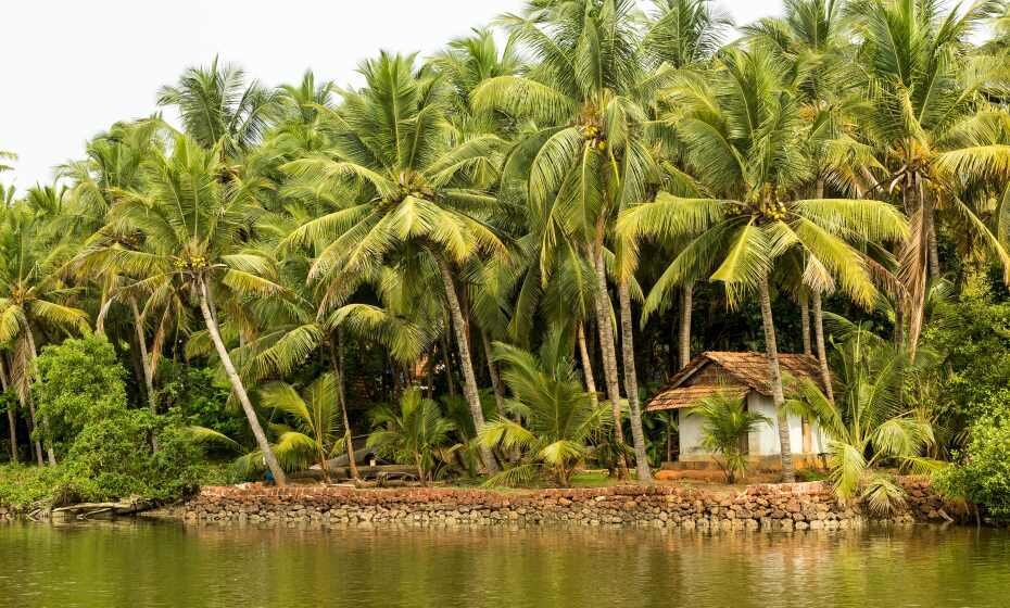 Kannur Backwaters, Kerala
