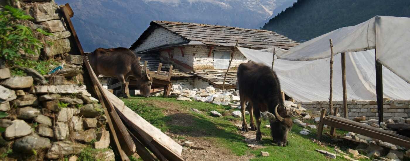 Landruk Nepal