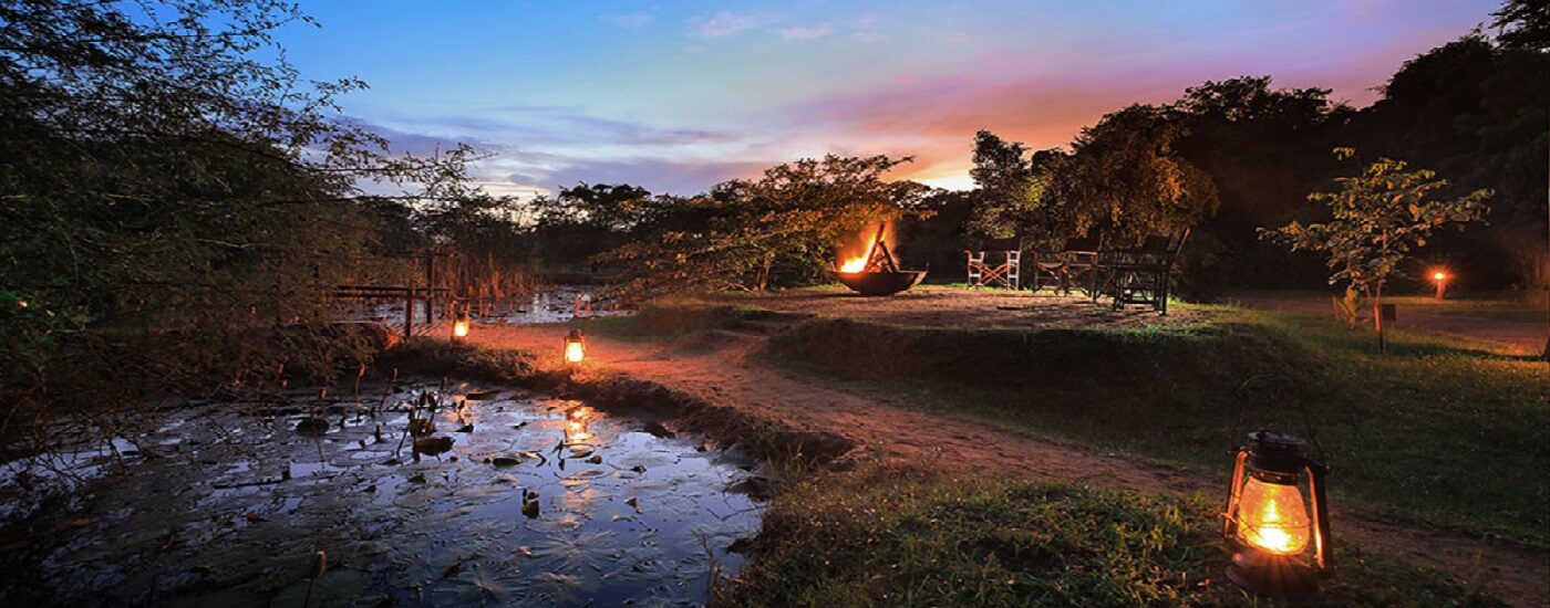 Leopard Trails, Wilpattu, Sri Lanka