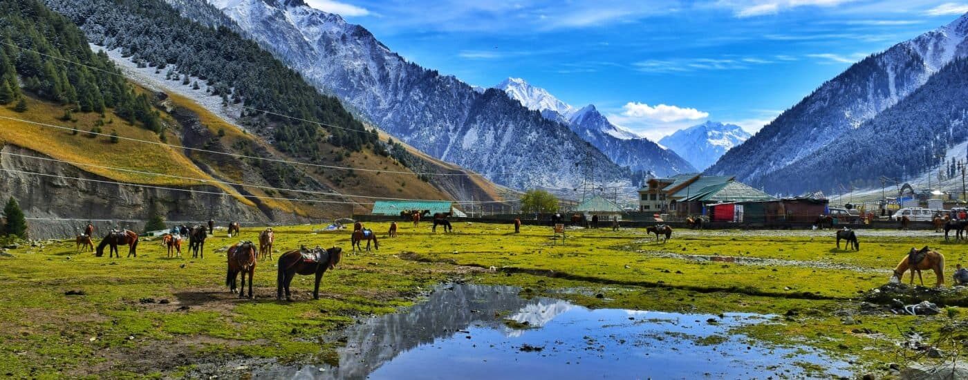 Pahalgao Valley, Pahalgam, Jammu and kashmi