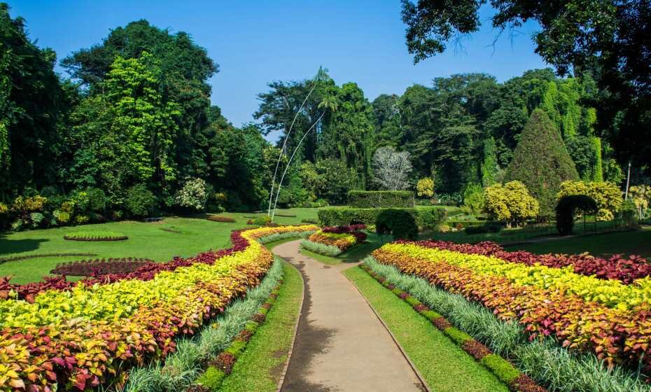 Royal Botanic Gardens, Peradeniya, Kandy, Sri Lanka