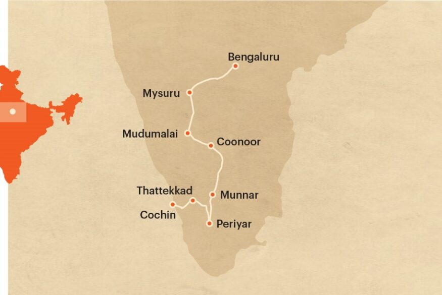 South India Bird Watching Tour
