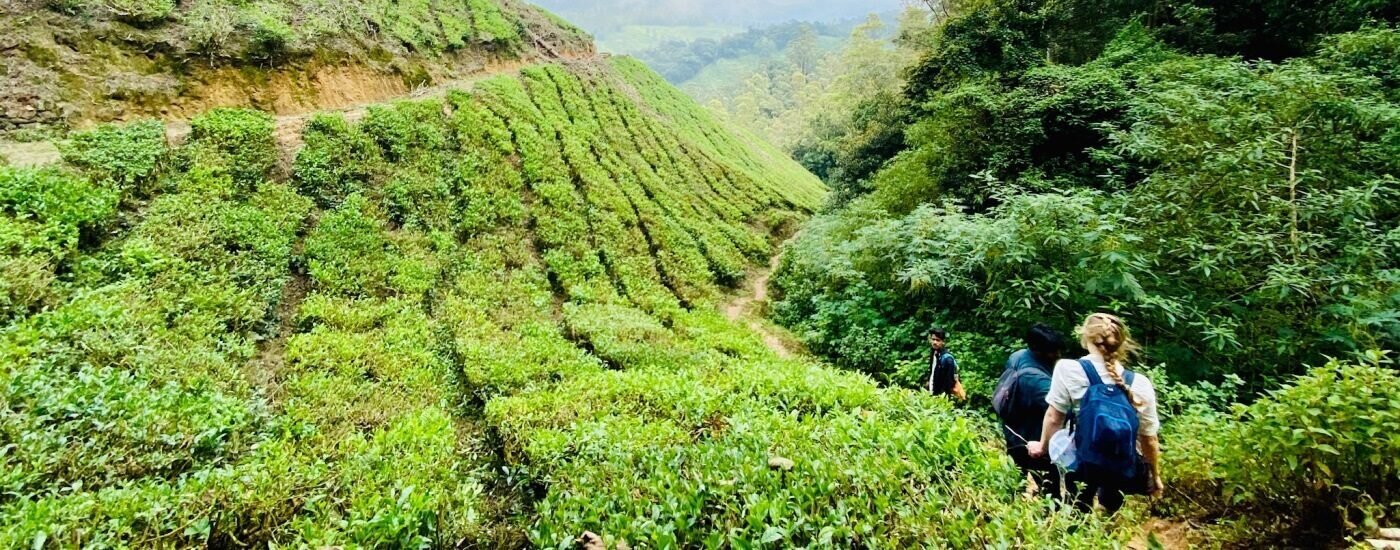 Unmissable walking holidays in India Authentic India Tours