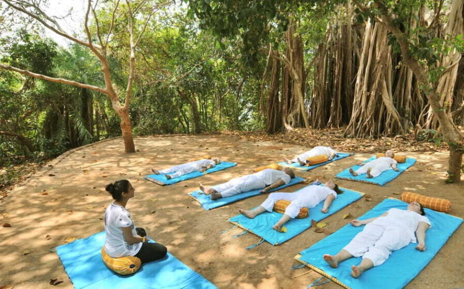 Kerala Tour & Ayurveda Retreat