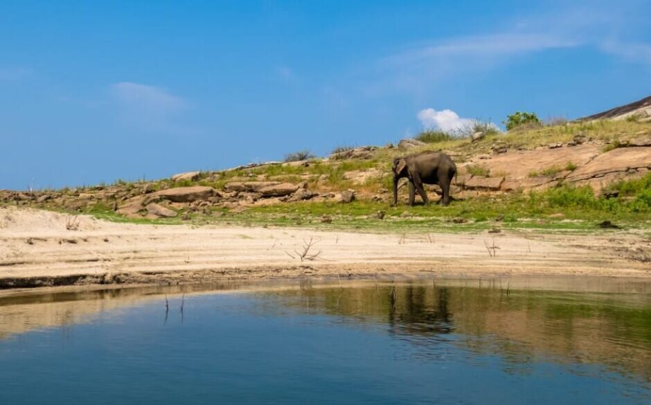 Gal Oya National Park, Sri Lanka