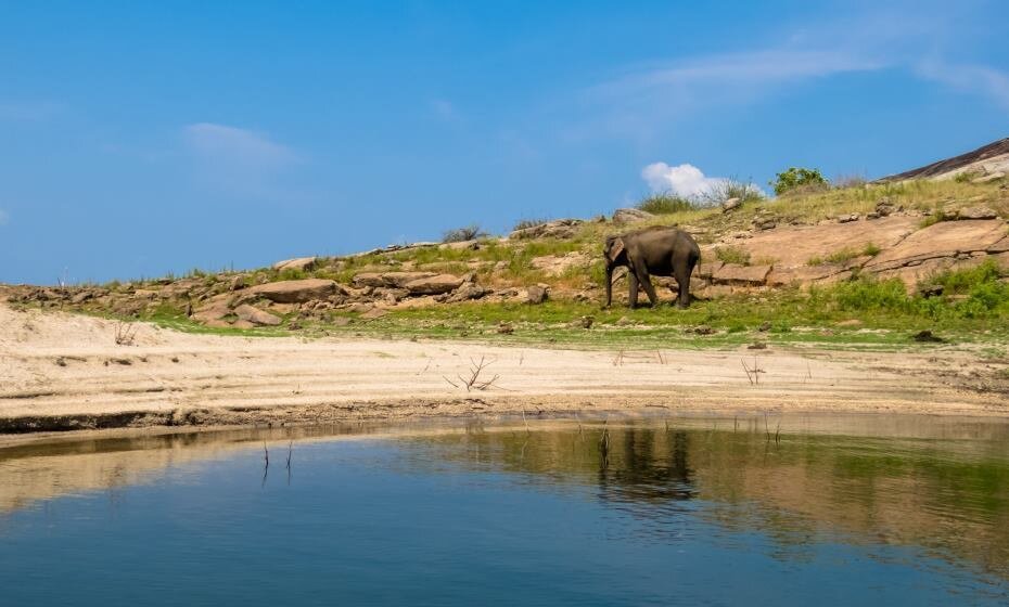 Gal Oya National Park, Sri Lanka