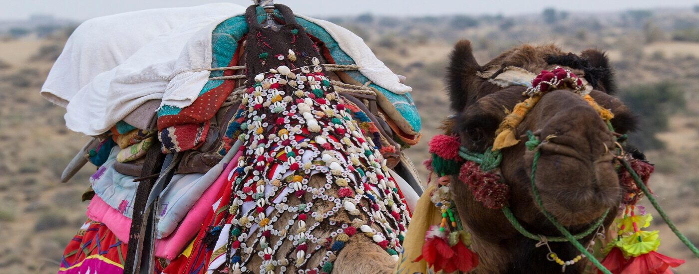 Desert Manvar Rajasthan