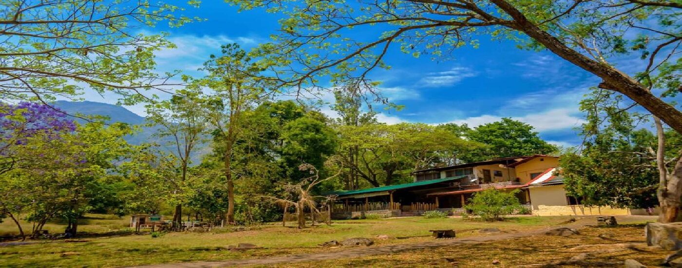 Jungle Retreat Masinagudi