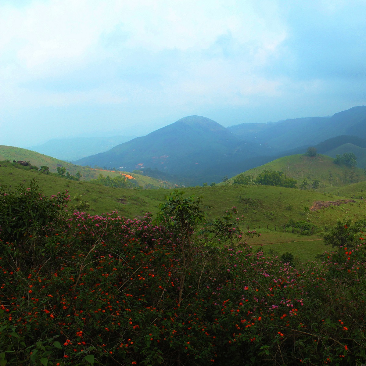 The hills of Teekoy, Kerala