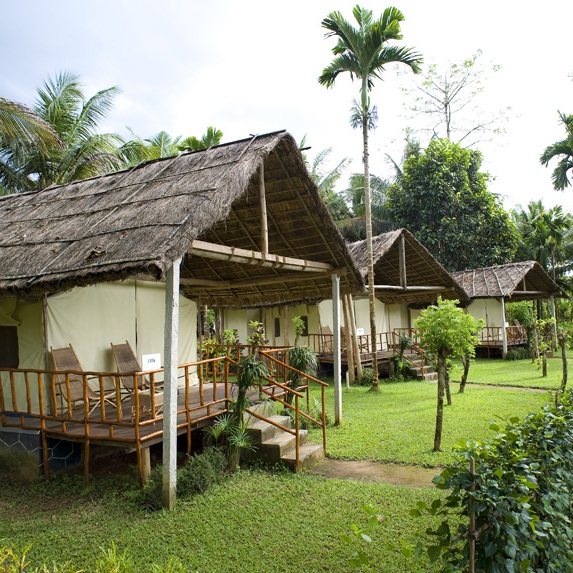 Tents at The Hornbill Camp, Thattekad, Kerala