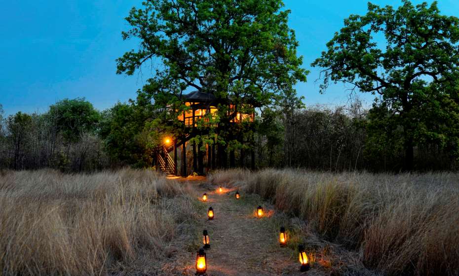 Pench Tree Lodge - Exterior