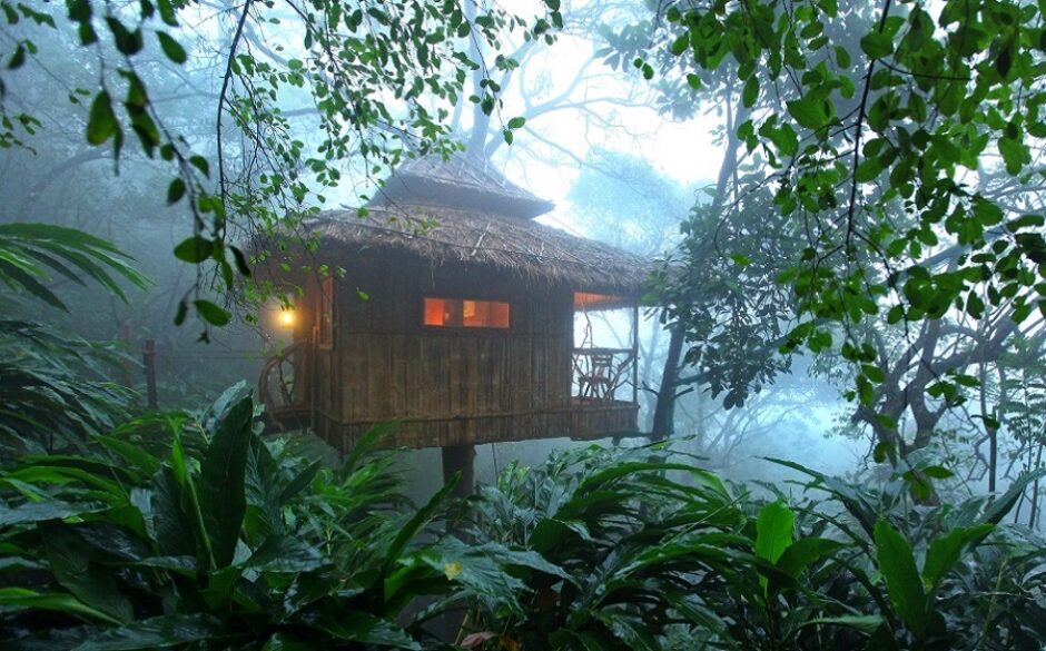 Vanya Forest Tree House- Exterior - Greenwoods Resort, Kerala