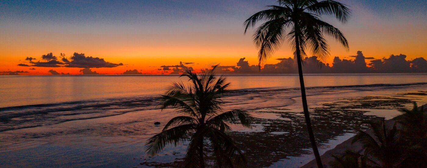 A beautiful colourful sunset over the Indian Ocean in the Maldives. Palm trees are silhouetted in the foreground.