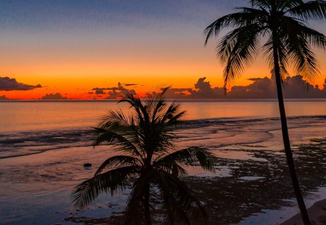 A beautiful colourful sunset over the Indian Ocean in the Maldives. Palm trees are silhouetted in the foreground.