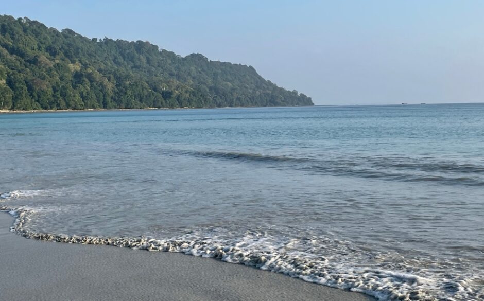 Jean and Bob's Trip to Andaman Islands - Havelock Beach