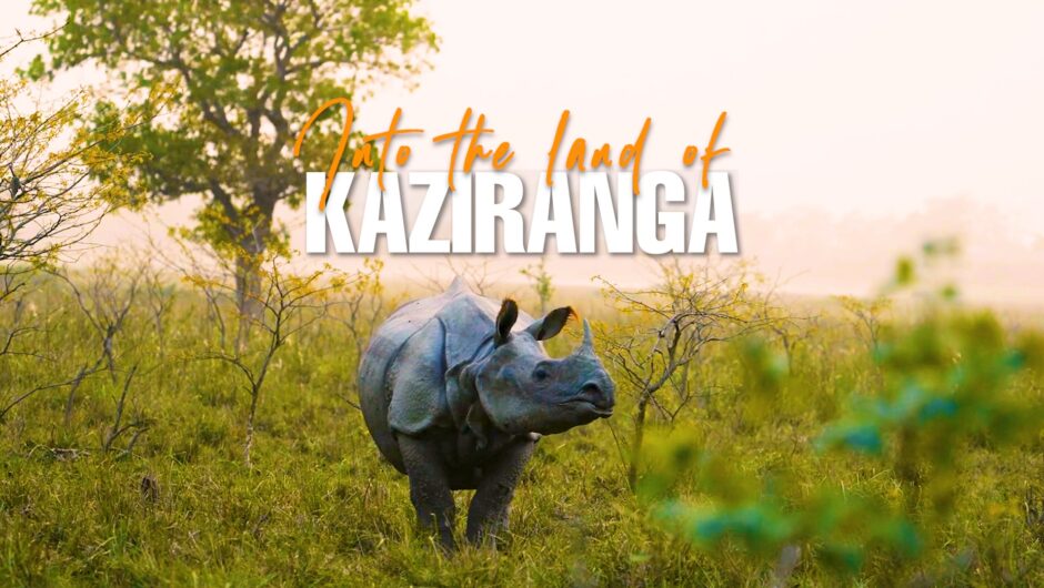 Kaziranga National Park