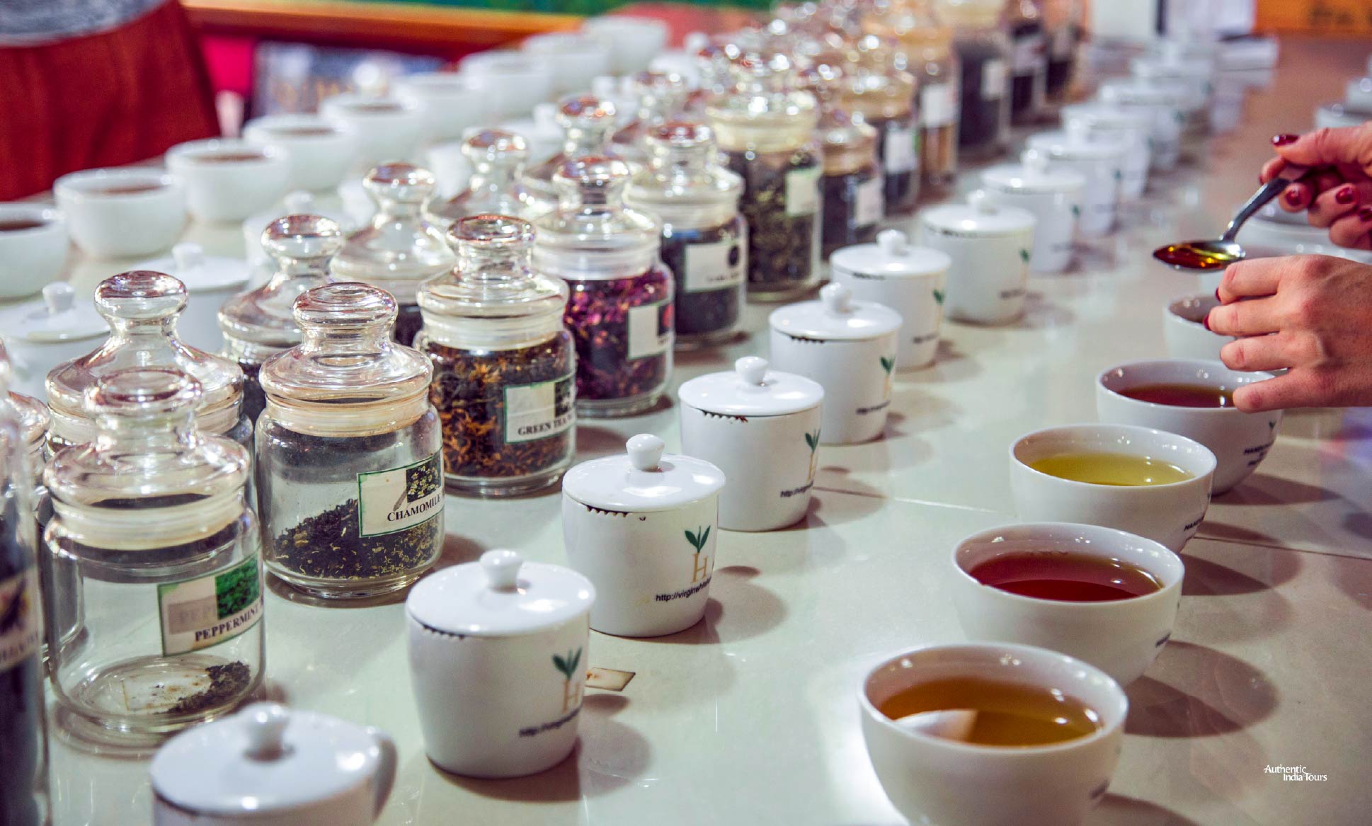 Wild Masheer Tea Tasting, Tezpur