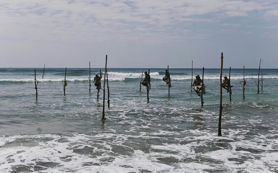 Stilt Fishermen in Sri Lanka