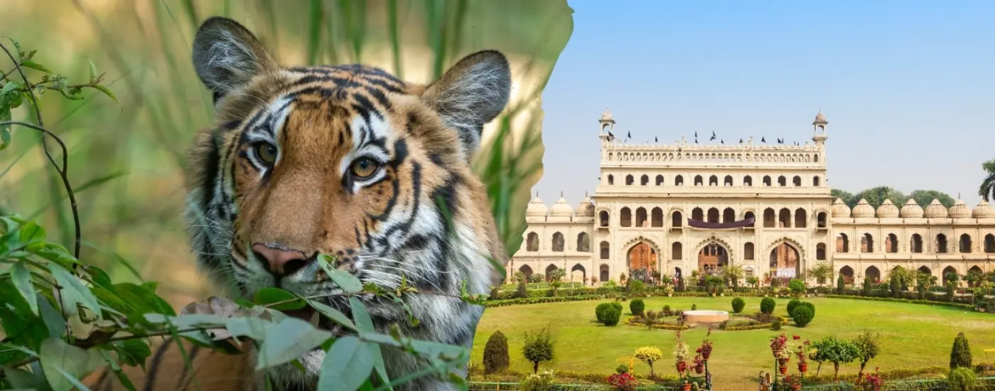 Untamed North: India off the beaten track