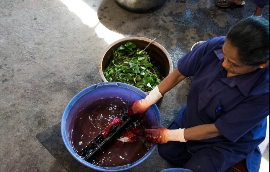 Dye making at Srishti Trust Munnar